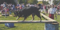 Braunschweiger Zeitung, 06.09.2004, Foto: Udo Starke